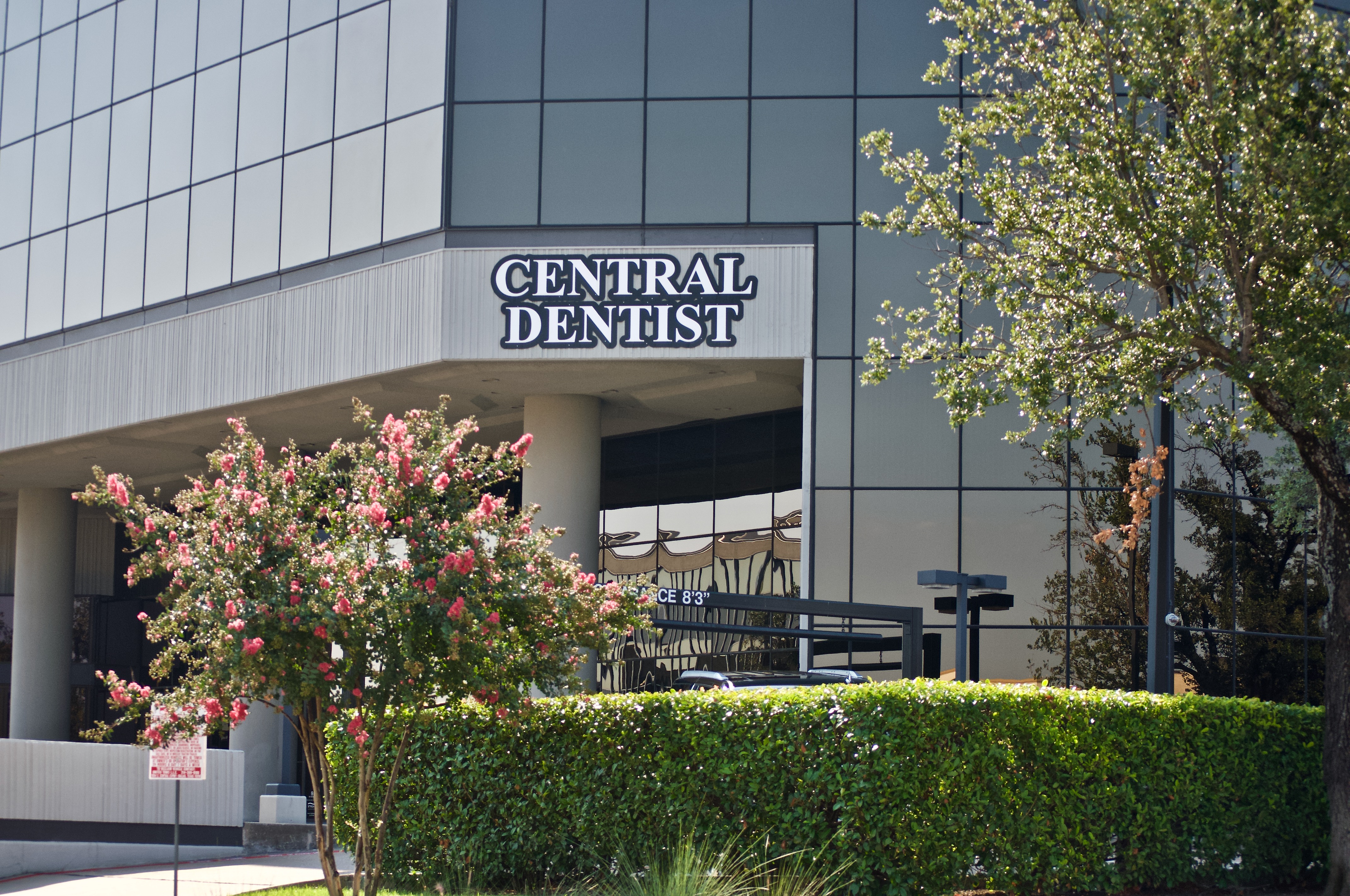 Central Dentist Reception Area